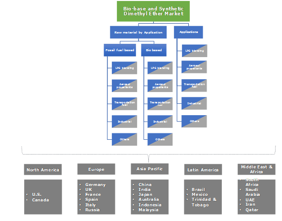 Bio-based and Synthetic Dimethyl Ether Market Share Report 2025