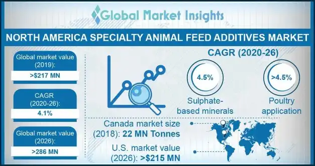 North America specialty animal feed additives market