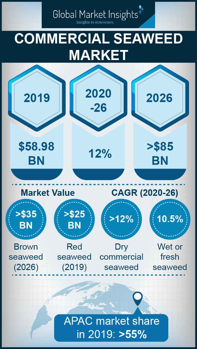 Infographic on Commercial Seaweed Market 2019 2025 by Global Market